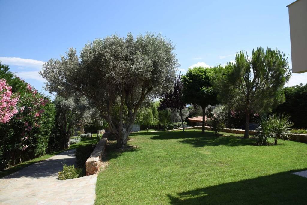 Seaside Villa Andronikos Amarynthos Exterior photo