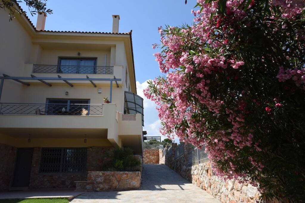 Seaside Villa Andronikos Amarynthos Exterior photo