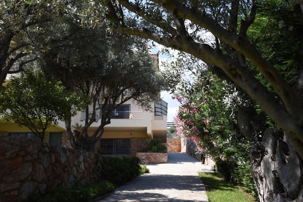 Seaside Villa Andronikos Amarynthos Exterior photo