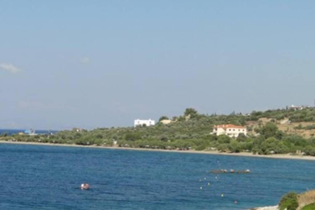 Seaside Villa Andronikos Amarynthos Exterior photo